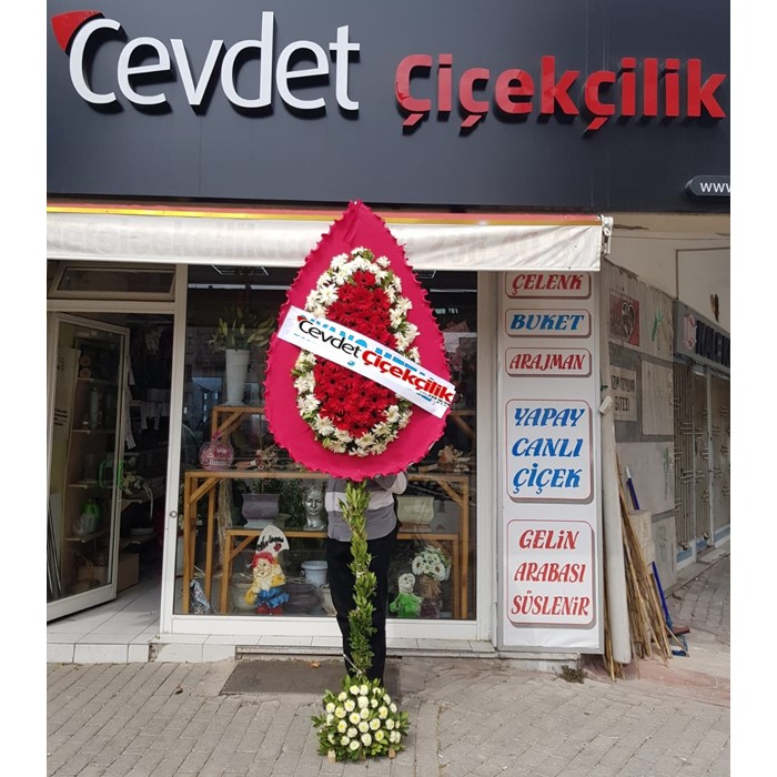Tekli Model